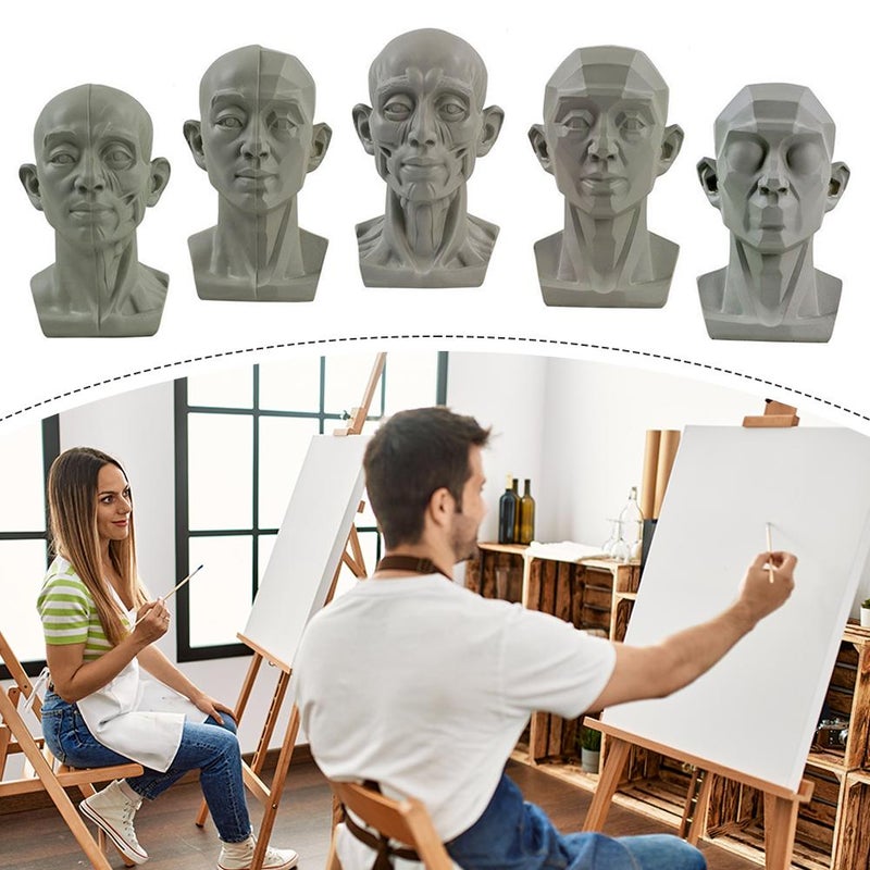 Head Model for Artists - Plaster Human Manikin Head | Medical & Artistic Drawing Teaching Aid | Drawing Sketching Painting (M33 1pcs) - Image 5